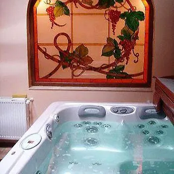 Hotel Platan Garden & Restaurant
