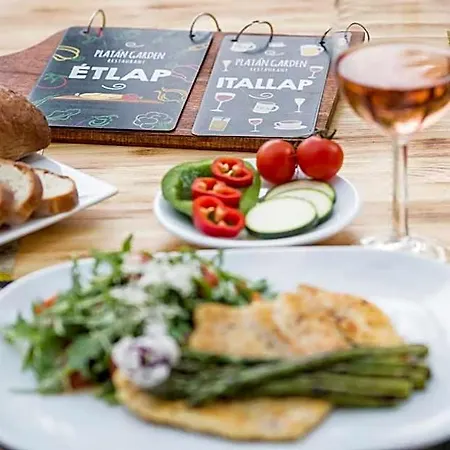 Platan Garden & Restaurant 3* Хайдусобосло