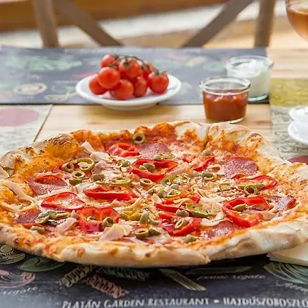Отель Platan Garden & Restaurant Хайдусобосло