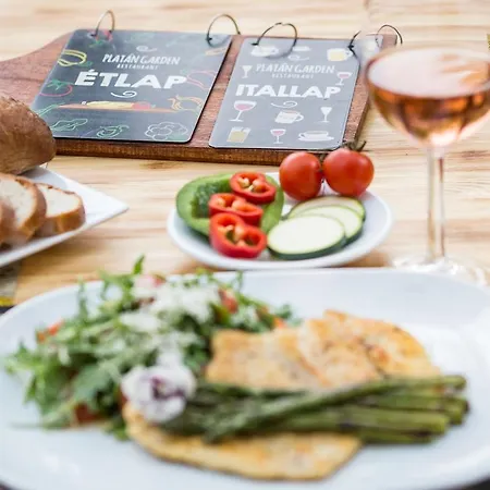 Platan Garden & Restaurant מלון 3*